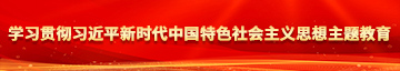 美女被强奸网站学习贯彻习近平新时代中国特色社会主义思想主题教育